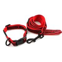 Factory directly sale pet supply wholesale Dog Collar and Leash set Products